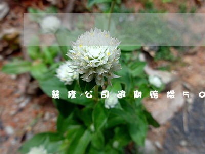 装修公司逾期赔偿50一天合法吗 装修公司逾期赔偿50一天合法吗