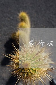 装修公司逾期违约赔偿 装修公司逾期违约赔偿