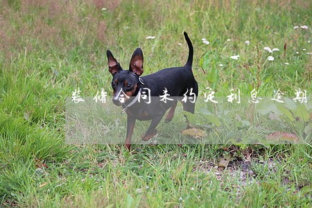 装修合同未约定利息逾期付款 装修合同未约定利息逾期付款