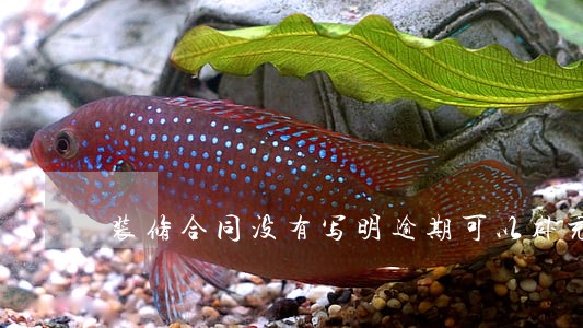 装修合同没有写明逾期可以补充吗 装修合同没有写明逾期可以补充吗