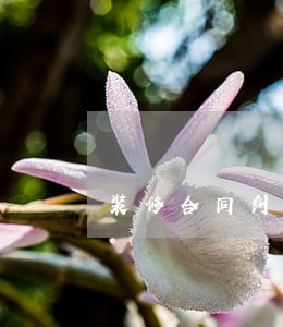 装修合同纠纷律师价格 装修合同纠纷律师价格