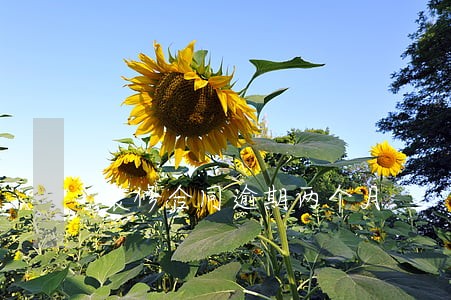 装修合同逾期两个月 装修合同逾期两个月