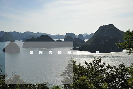 装修合同逾期付款 装修合同逾期付款