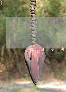 装修合同逾期单方怎样解除合同