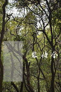 装修合同逾期怎么上诉 装修合同逾期怎么上诉