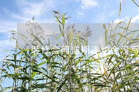 装修合同逾期违约金没写 装修合同逾期违约金没写