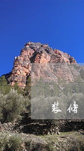 装修太吵违法 装修太吵违法