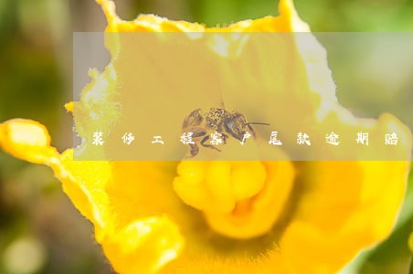 装修工程客户尾款逾期赔偿范本 装修工程客户尾款逾期赔偿范本