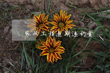 装修工程逾期违约金 装修工程逾期违约金