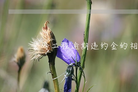 装修工程逾期违约金的相关条款
