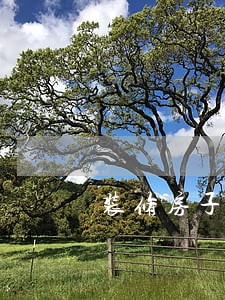 装修房子逾期法律条款 装修房子逾期法律条款