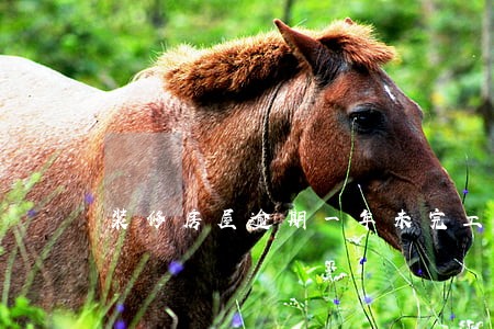 装修房屋逾期一年未完工 装修房屋逾期一年未完工