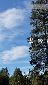 装修施工工期逾期合同 装修施工工期逾期合同