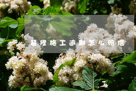 装修施工逾期怎么赔偿 装修施工逾期怎么赔偿