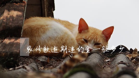 装修款逾期违约金一般多少 装修款逾期违约金一般多少