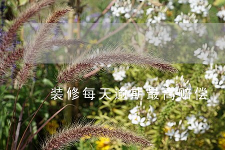 装修每天逾期最高赔偿 装修每天逾期最高赔偿