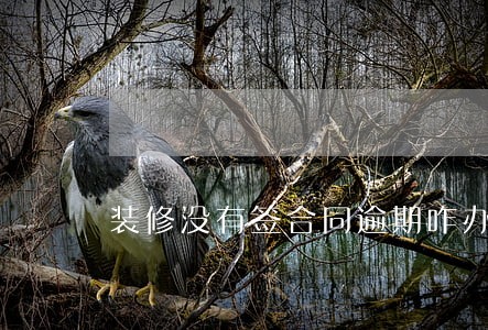 装修没有签合同逾期咋办 装修没有签合同逾期咋办