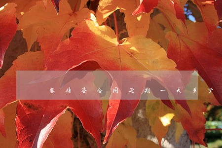 装修签合同逾期一天多少钱 装修签合同逾期一天多少钱