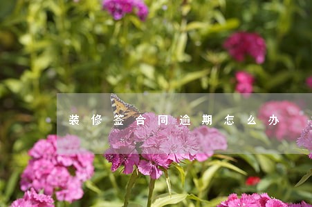 装修签合同逾期怎么办 装修签合同逾期怎么办