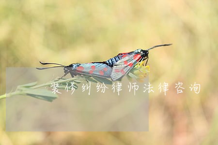装修纠纷律师法律咨询 装修纠纷律师法律咨询