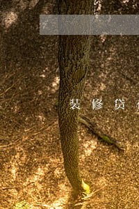 装修贷有逾期记录可以审批吗 装修贷有逾期记录可以审批吗