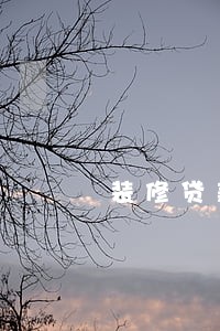 装修贷款老公坐牢导致逾期 装修贷款老公坐牢导致逾期