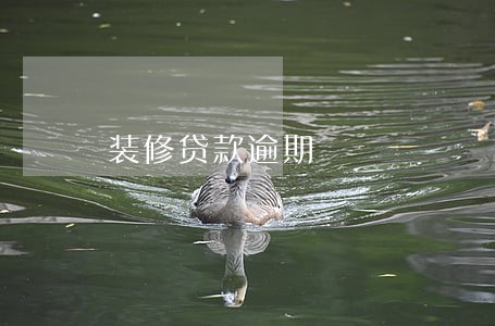 装修贷款逾期