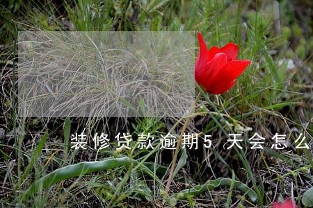 装修贷款逾期5天会怎么样 装修贷款逾期5天会怎么样