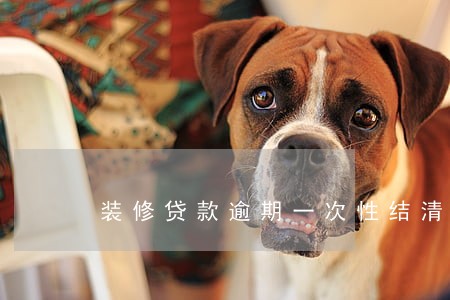装修贷款逾期一次性结清案例 装修贷款逾期一次性结清案例