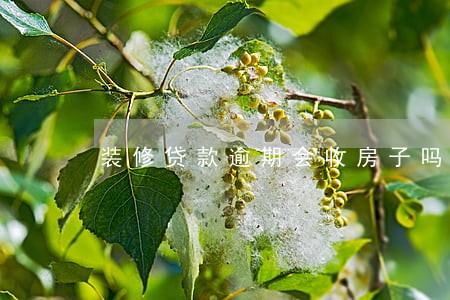 装修贷款逾期会收房子吗 装修贷款逾期会收房子吗