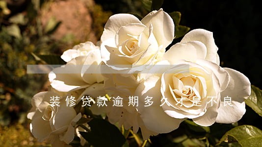 装修贷款逾期多久才是不良 装修贷款逾期多久才是不良