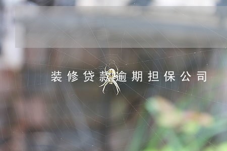 装修贷款逾期担保公司 装修贷款逾期担保公司