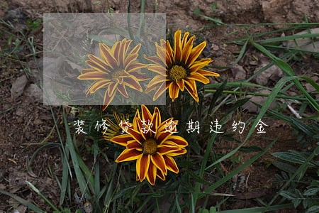 装修贷款逾期违约金 装修贷款逾期违约金