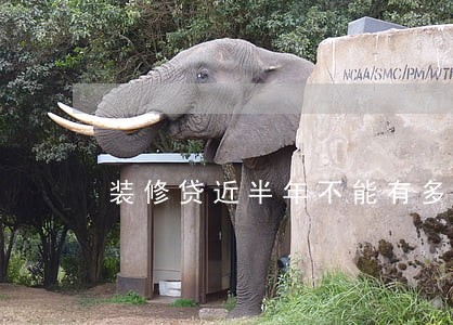 装修贷近半年不能有多少次逾期 装修贷近半年不能有多少次逾期