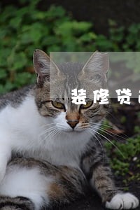 装修贷逾期一个月违约金怎么算 装修贷逾期一个月违约金怎么算