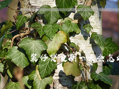 装修贷逾期一天会怎么样 装修贷逾期一天会怎么样