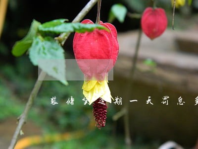 装修贷逾期一天罚息多少建行 装修贷逾期一天罚息多少建行