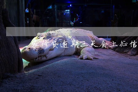 装修贷逾期三天会上征信吗 装修贷逾期三天会上征信吗