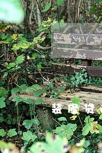 装修贷逾期上门怎么处理 装修贷逾期上门怎么处理