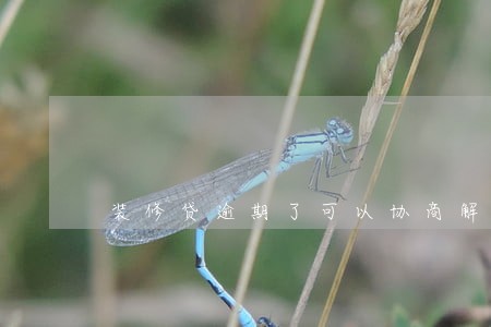 装修贷逾期了可以协商解决吗 装修贷逾期了可以协商解决吗