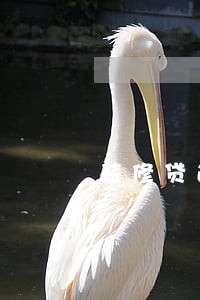 装修贷逾期几天会影响吗 装修贷逾期几天会影响吗