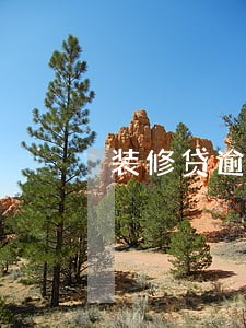 装修贷逾期可以协商吗 装修贷逾期可以协商吗