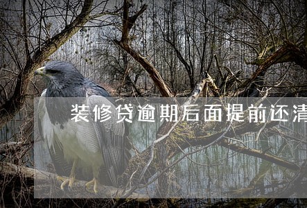 装修贷逾期后面提前还清 装修贷逾期后面提前还清