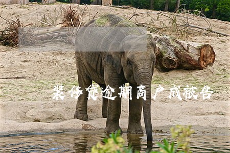 装修贷逾期商户成被告 装修贷逾期商户成被告