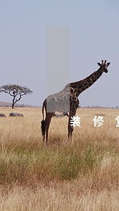装修贷逾期如何协商 装修贷逾期如何协商