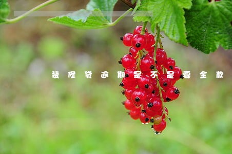 装修贷逾期是不是要全款还款 装修贷逾期是不是要全款还款