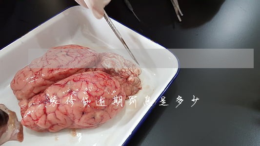 装修贷逾期罚息是多少 装修贷逾期罚息是多少