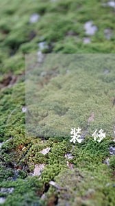 装修贷逾期被仲裁 装修贷逾期被仲裁