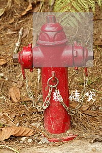 装修贷逾期还全款 装修贷逾期还全款