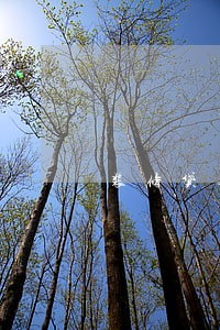 装修贷逾期还款四个月 装修贷逾期还款四个月